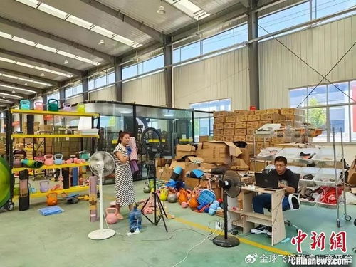 全球飛翔 跨境電商平臺(tái) 助力農(nóng)業(yè)企業(yè)跨境電商出海